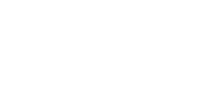Massage Traveler™ LLC